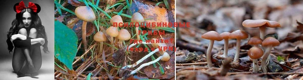 наркотики Балабаново