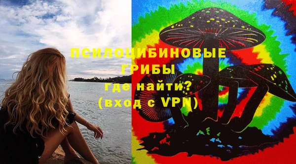 спайс Баксан